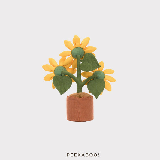 Amuseables-Sunflower-cover2-Peekaboo