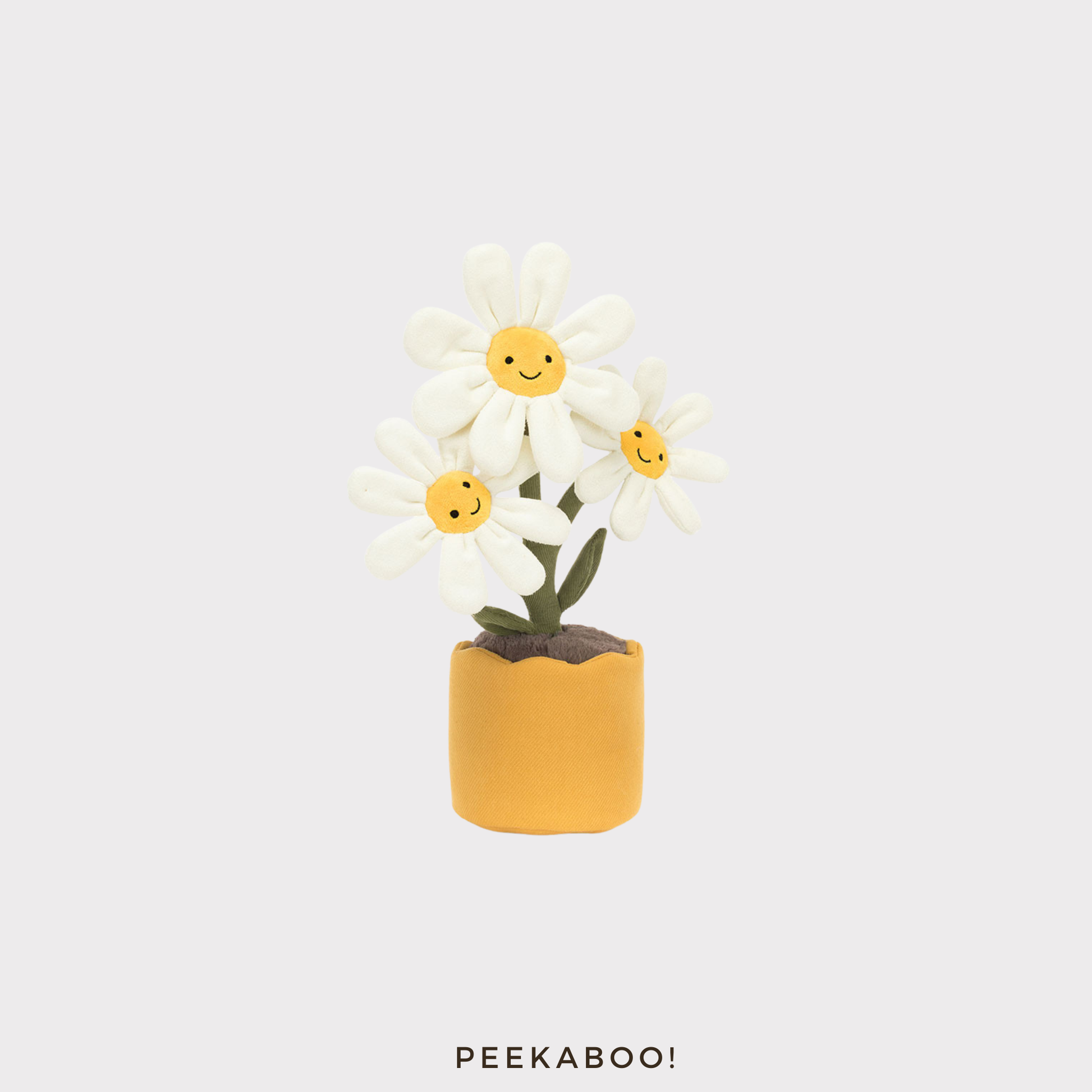 Amuseables-Daisy-cover-Peekaboo