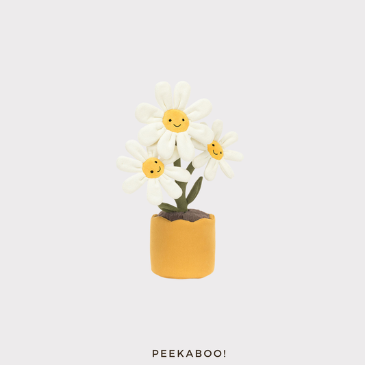 Amuseables-Daisy-cover-Peekaboo