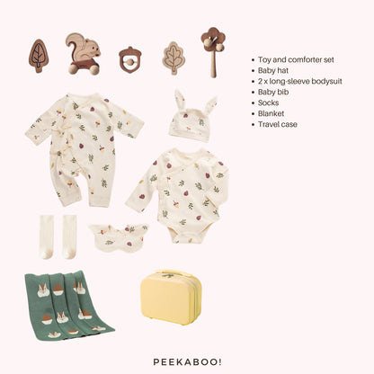 Personalised Baby Essential All-in-one Gift Set - Squirrel