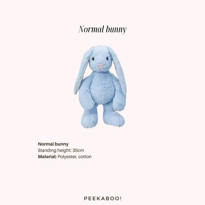 Personalised-Baby-Giftset-Bunny-Blue-Details-Peekaboo