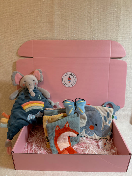 Personalised Baby Sensory Development Gift Set - Elephant