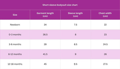 Personalised-Baby-Short-sleeve-Bodysuit-Giftset-Size