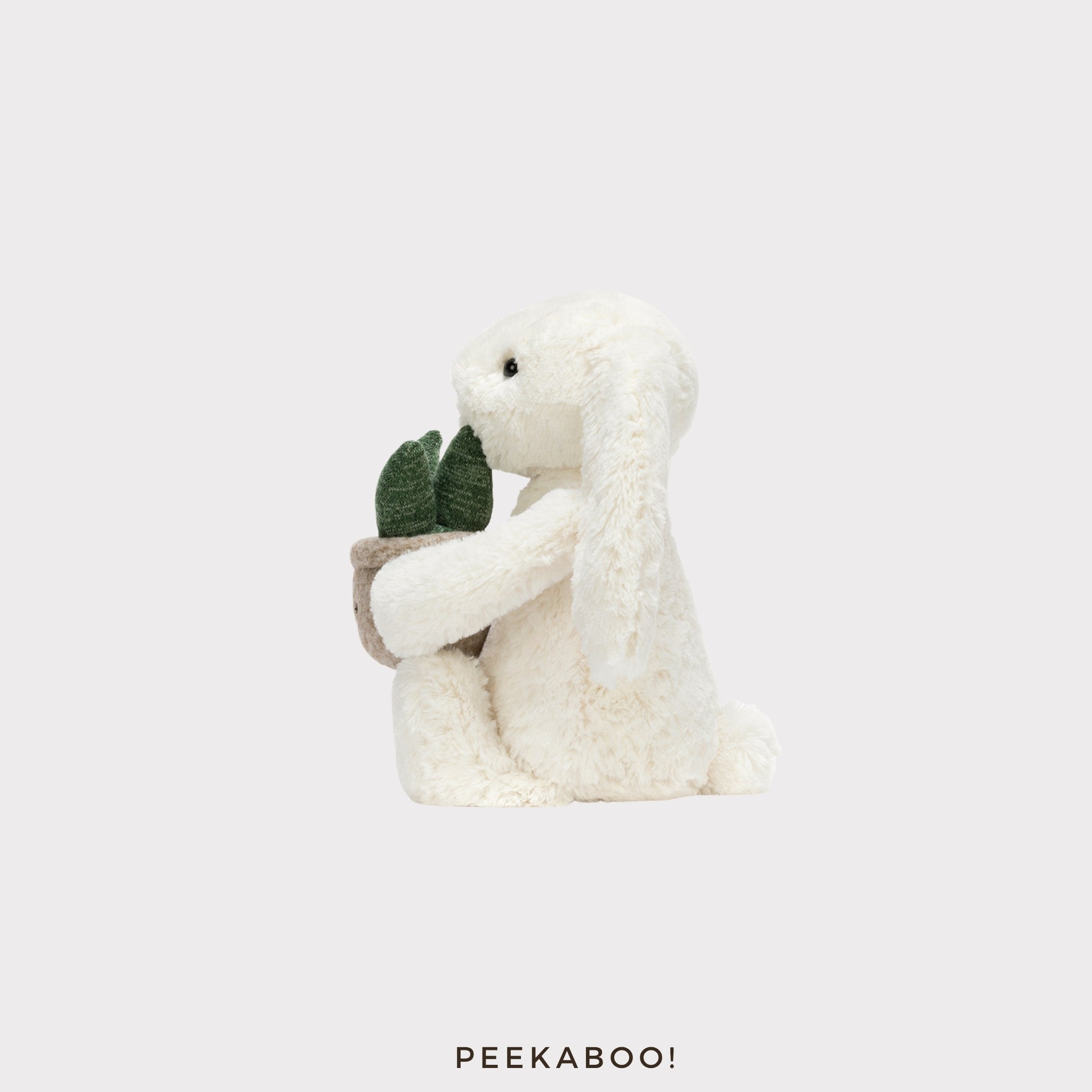 Personalised-Cream-Bunny-with-Plant-Cover2-Peekaboo